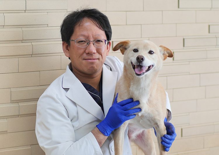 獣医内科学 Amazon.co.jp: Small Animal Internal Medicine No.7（2025年4月